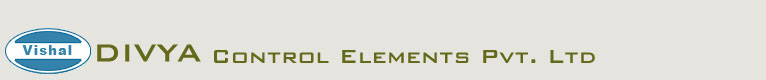 Divya Control Elements Pvt. Ltd.